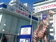 トヨタモビリティ東名古屋　上社店