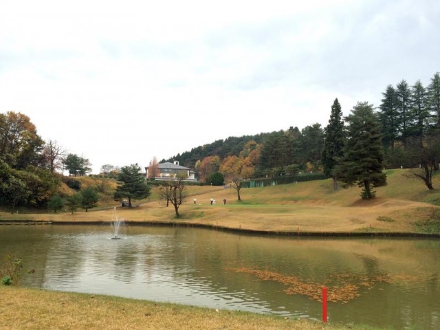 投稿写真6