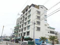 浜辺のホテル松涛