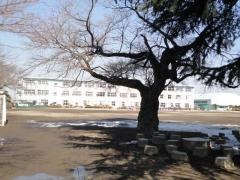 上三川小学校