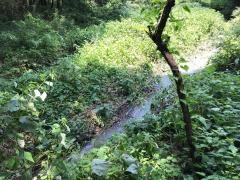 京路戸公園