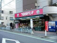 つるかめランド宮戸店