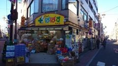 どらっぐぱぱす亀有店