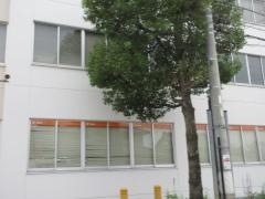 関郵便局
