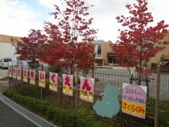 はなさと保育園