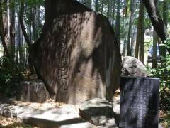 桜山神社緑地