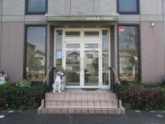 タテマツ獣医科