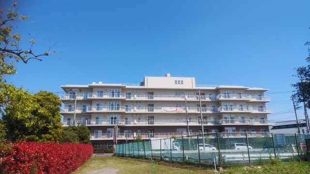 ショートステイフェリス