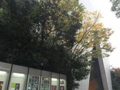 アクサ生命保険株式会社　九州営業局