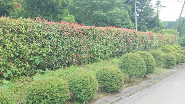 介護付有料老人ホーム 明和ふれあいガーデン 風景