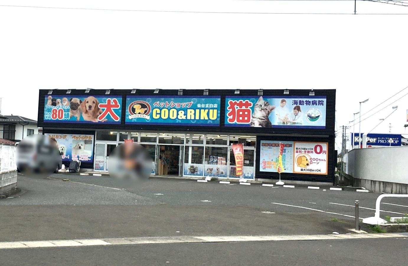 ペットショップＣｏｏ＆ＲＩＫＵ　仙台太白店