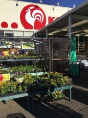 コメリハード＆グリーン　希望ケ丘店