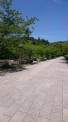 アプローチ広場