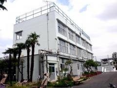 向山小学校