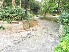 菊名池公園