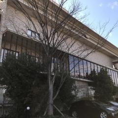 真野産婦人科