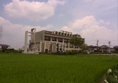 真野産婦人科