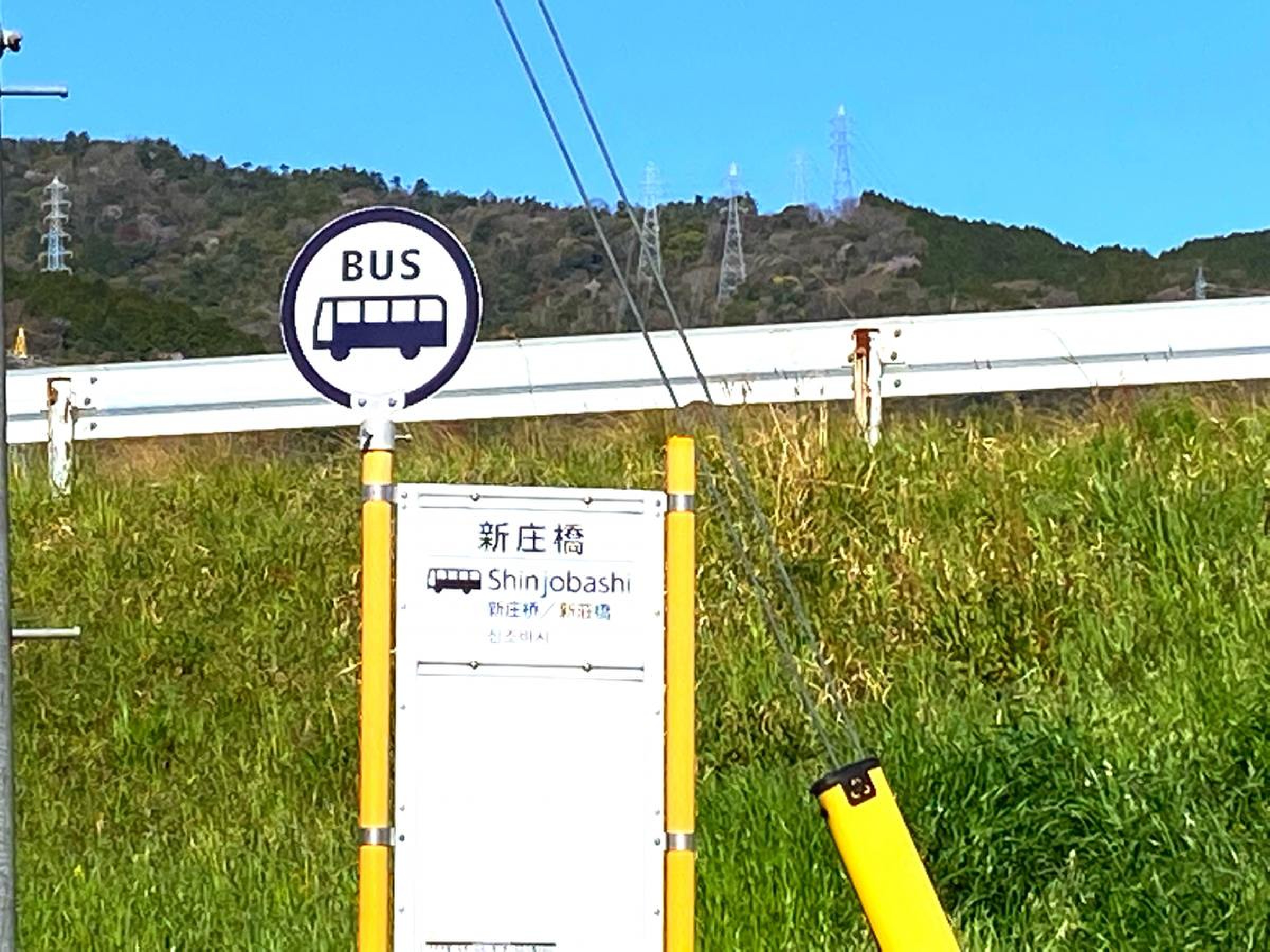 新庄 下 橋 バス(02)