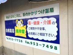白根薬局