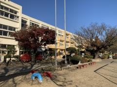 東石川小学校