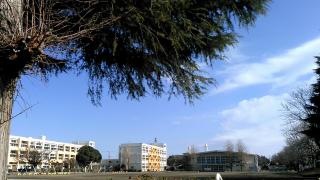 東石川小学校