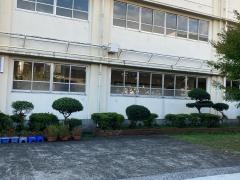 向小学校