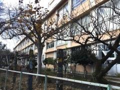 中野山小学校