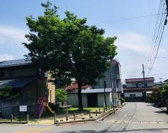 米泉町緑地
