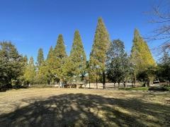 織田中央公園