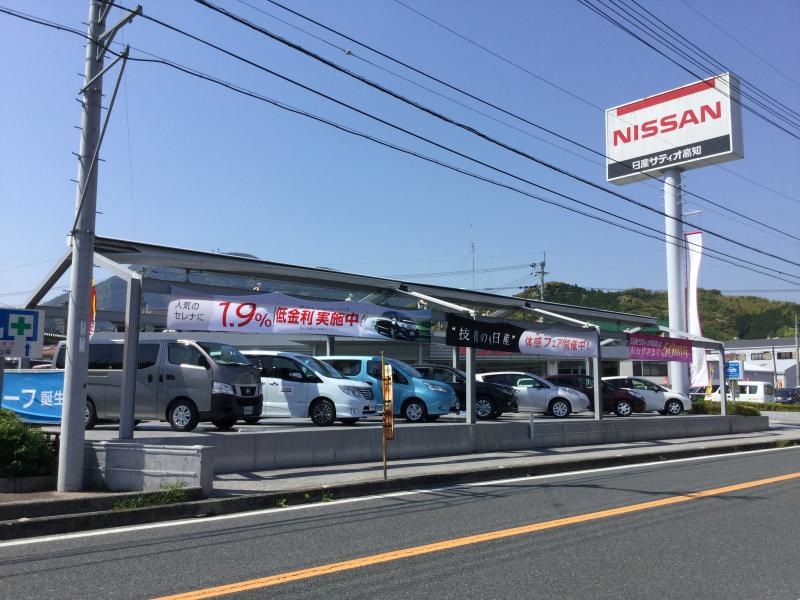 全景です。