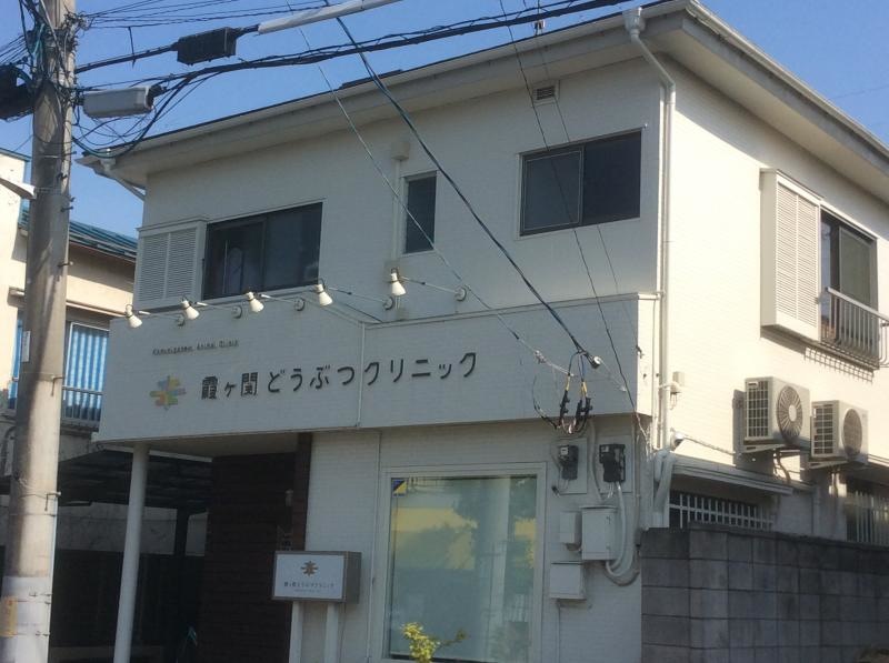 霞ヶ関どうぶつクリニック