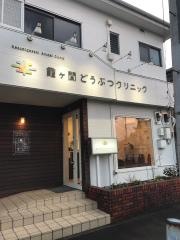 霞ヶ関どうぶつクリニック
