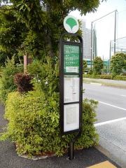 「新月島公園前」バス停留所