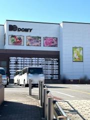 ドミー竜美丘店