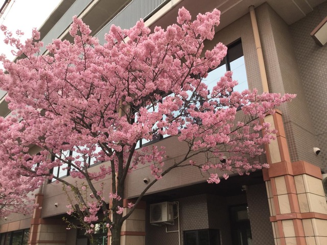 平田豊生苑