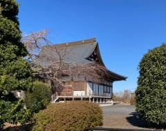 安禅寺