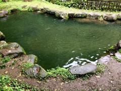 あづま養魚場