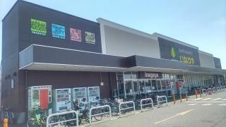 いなげや新座野寺店