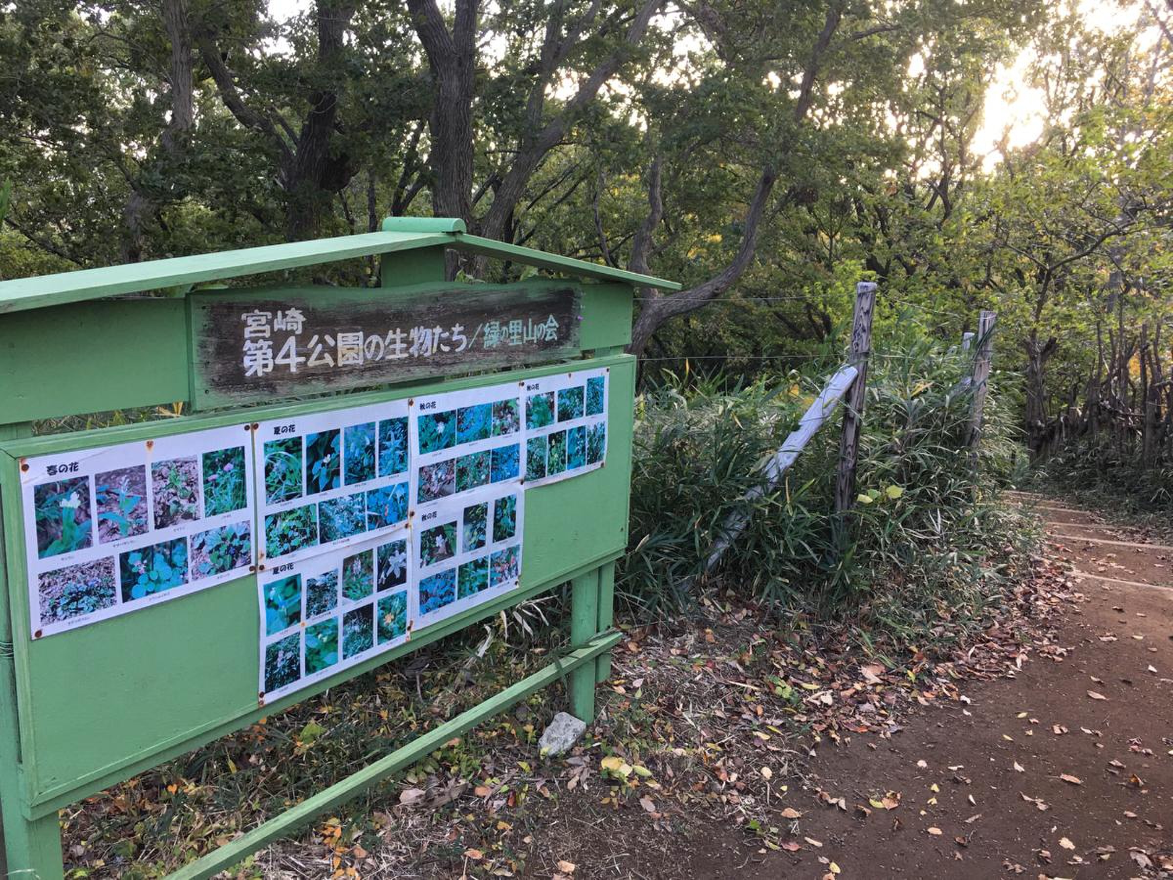 宮崎 第 4 公園