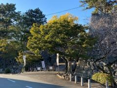 松阪城跡