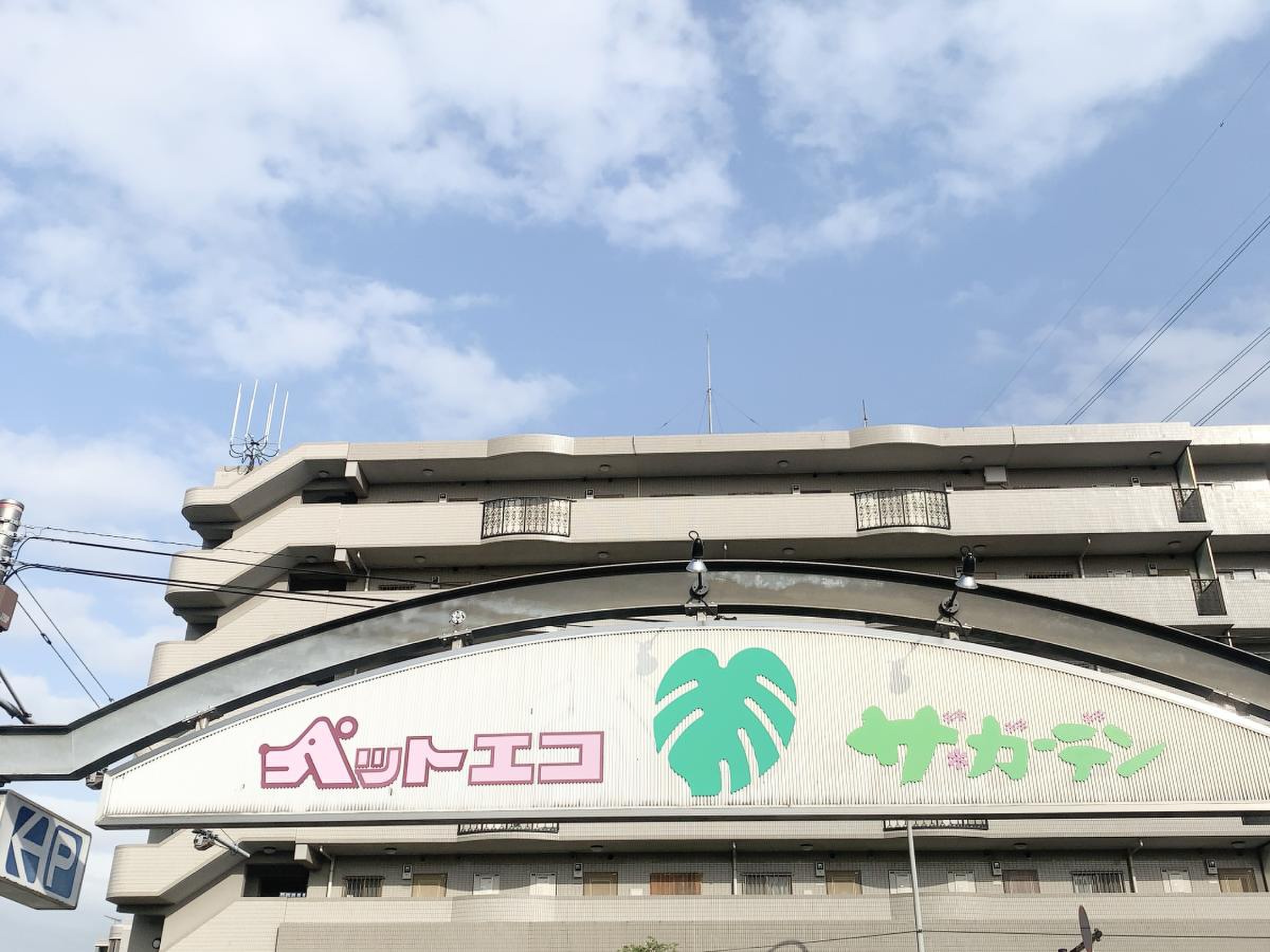 ペット エコ 港北 ニュー タウン 店