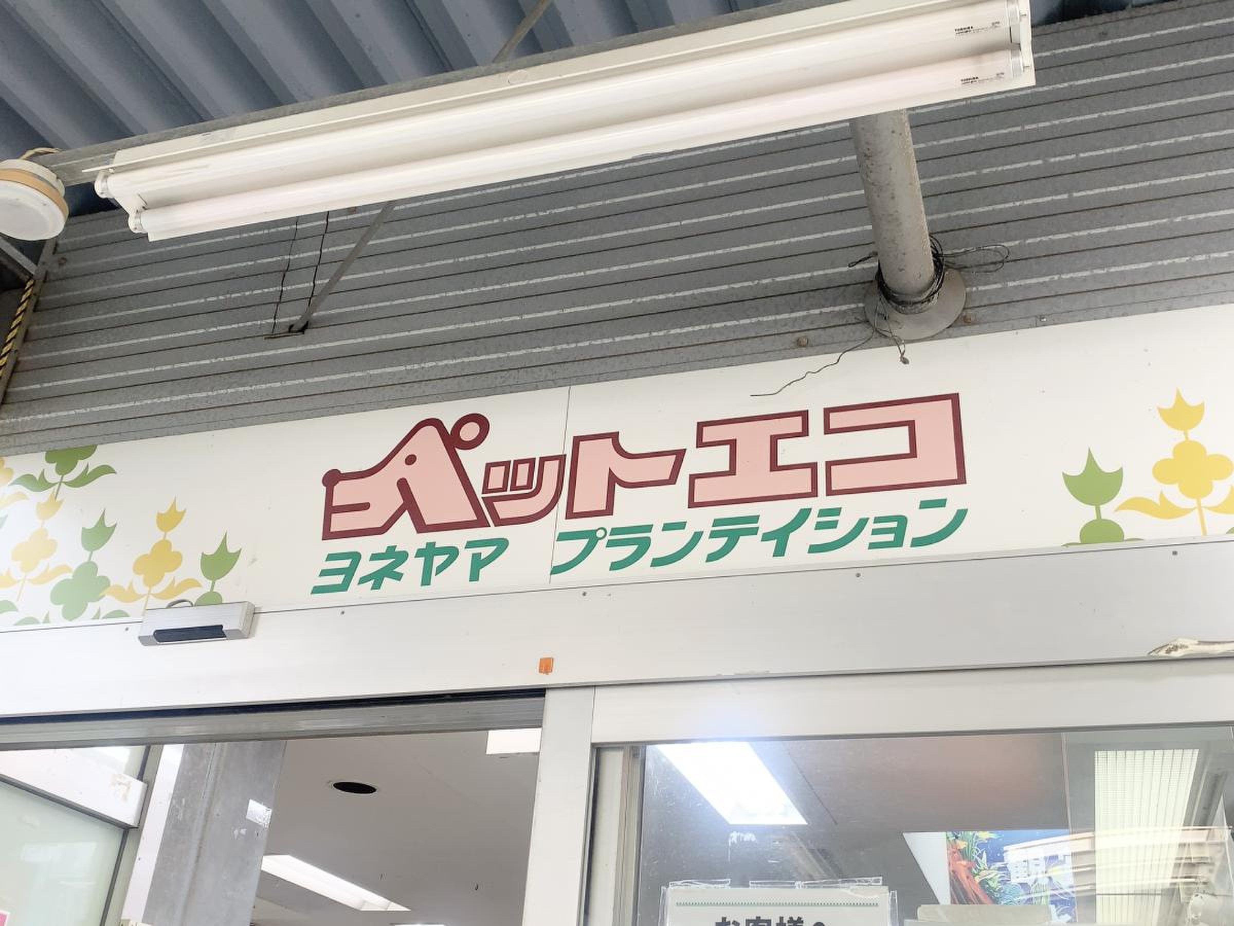 ペット エコ 港北 ニュー タウン 店