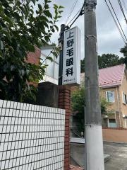 上野毛眼科