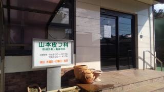 山本皮フ科