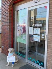 ノア動物病院　敷島病院