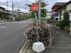 「川平団地入口」バス停留所