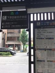 「下京区総合庁舎前」バス停留所