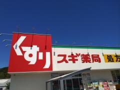 スギ薬局高林店