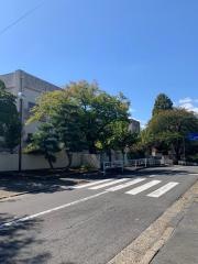 千波小学校