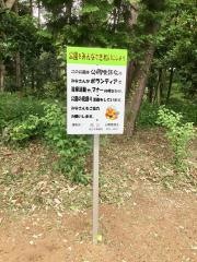 桧山公園